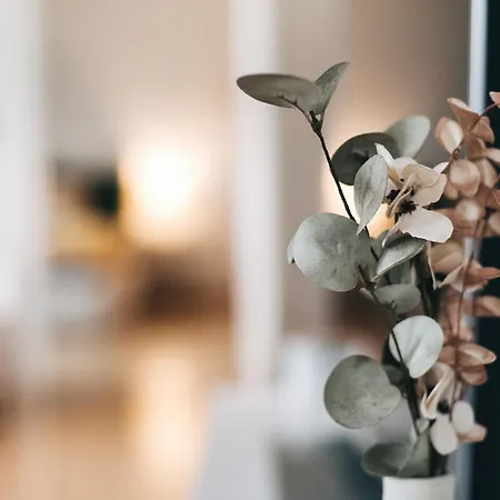 Heideblick Wifi Netflix Appartamento Dresda