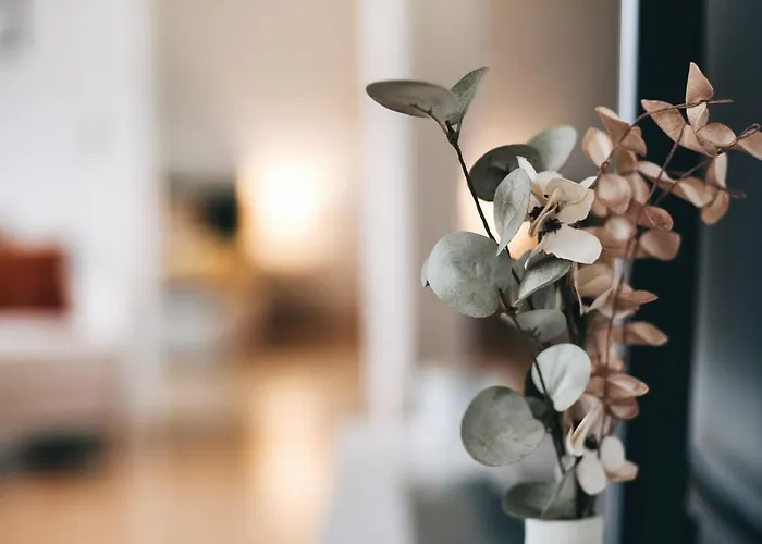 Heideblick Wifi Netflix Appartement Dresden